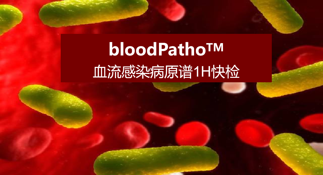 bloodPatho，血流感染病原谱