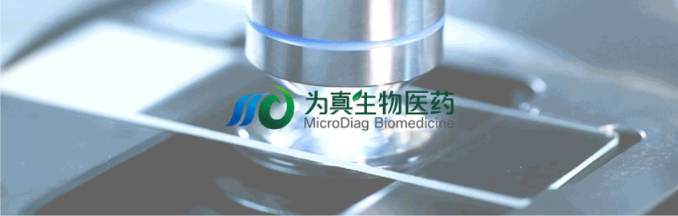 王莹院长领衔，王弢博士技术负责的研发项目获浙江省2024年度“尖兵”“领雁”研发攻关计划项目立项